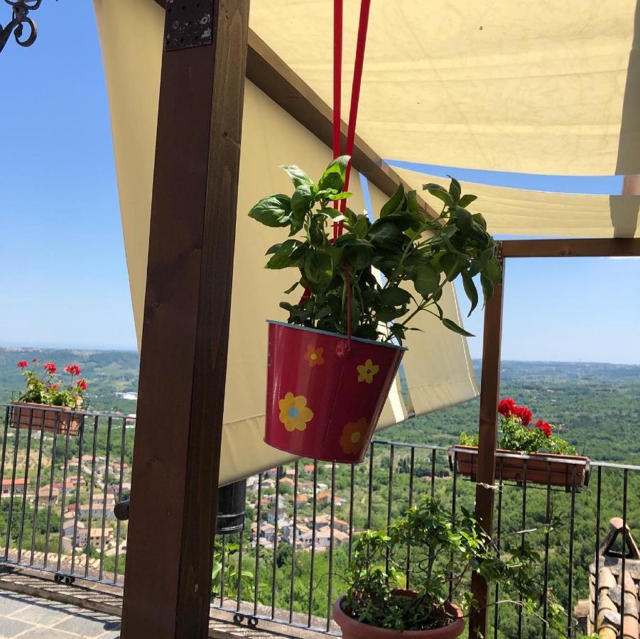 Alojamento de Acomodação e Pequeno-almoço Casa Mila' Pretoro